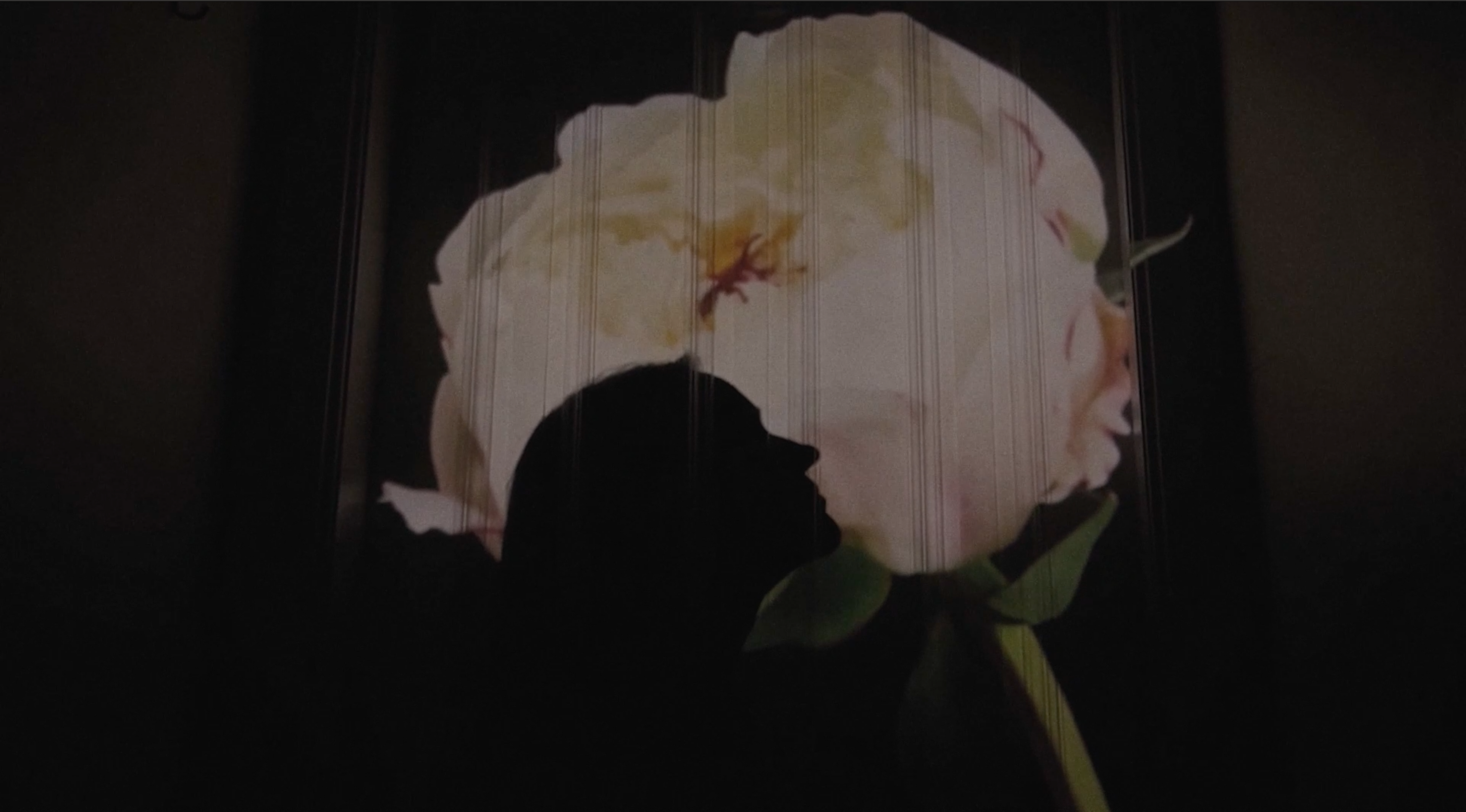 Load video: Music video featuring the song "Lucky" by Alx Cooper
